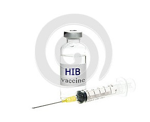 HIB