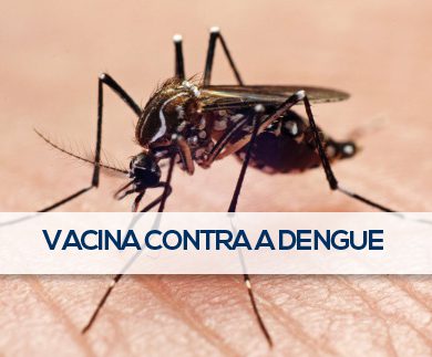 DENGUE E A NOVA VACINA: O QUE VOCÊ PRECISA SABER