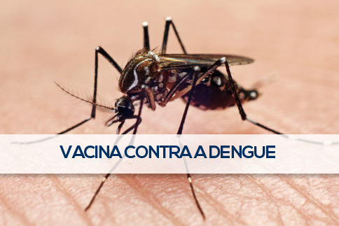 DENGUE E A NOVA VACINA: O QUE VOCÊ PRECISA SABER