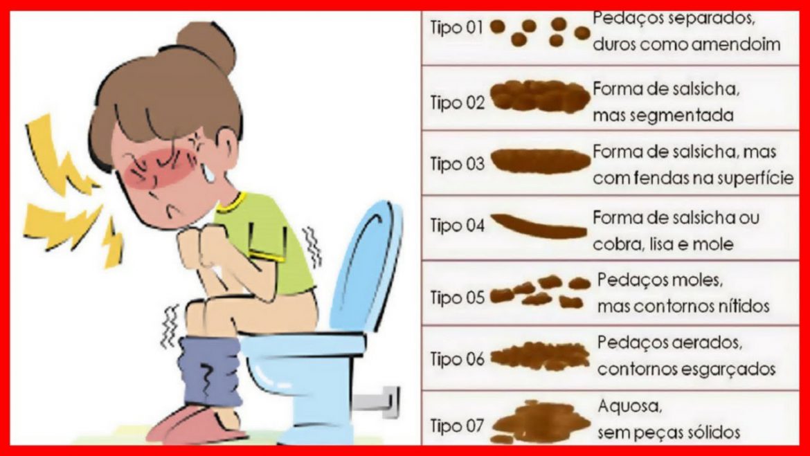 Você sabe como deve ser o cocô ideal?