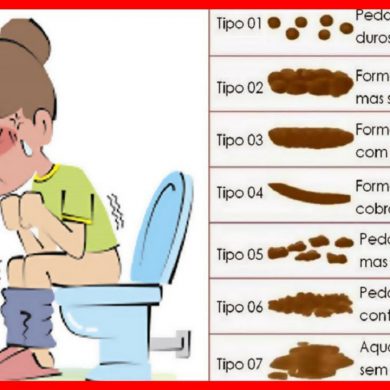 Você sabe como deve ser o cocô ideal?