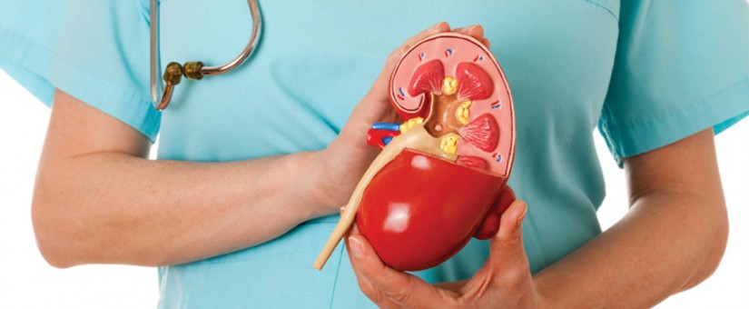 LITIASE RENAL – PEDRAS NOS RINS